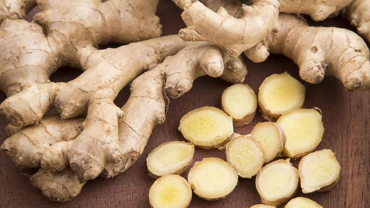 taking ginger daily can improve overall health 