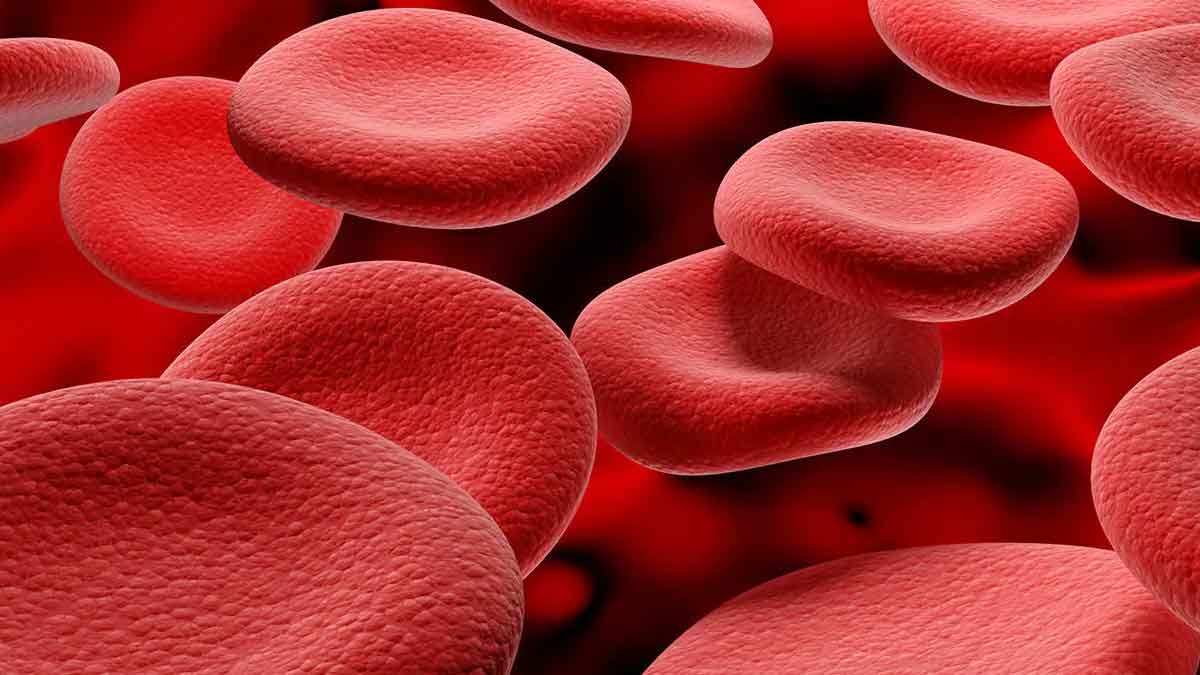 take these foods if you have not enough Blood 
