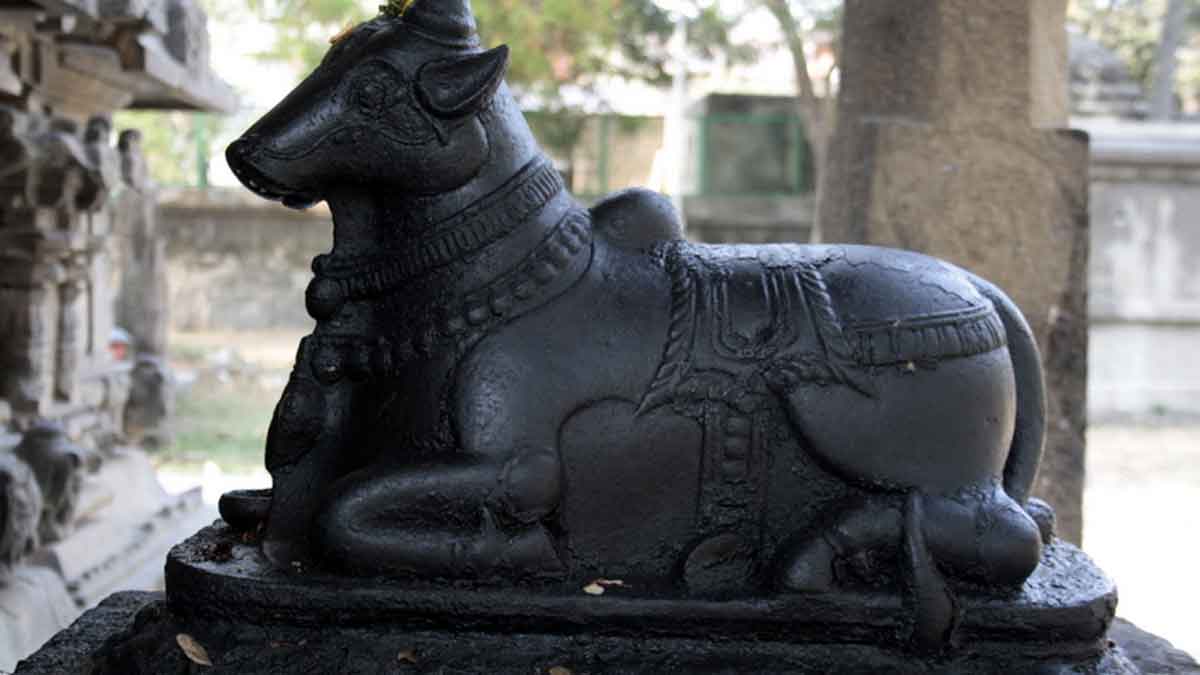 we should see lord shiva with the help of nandi 