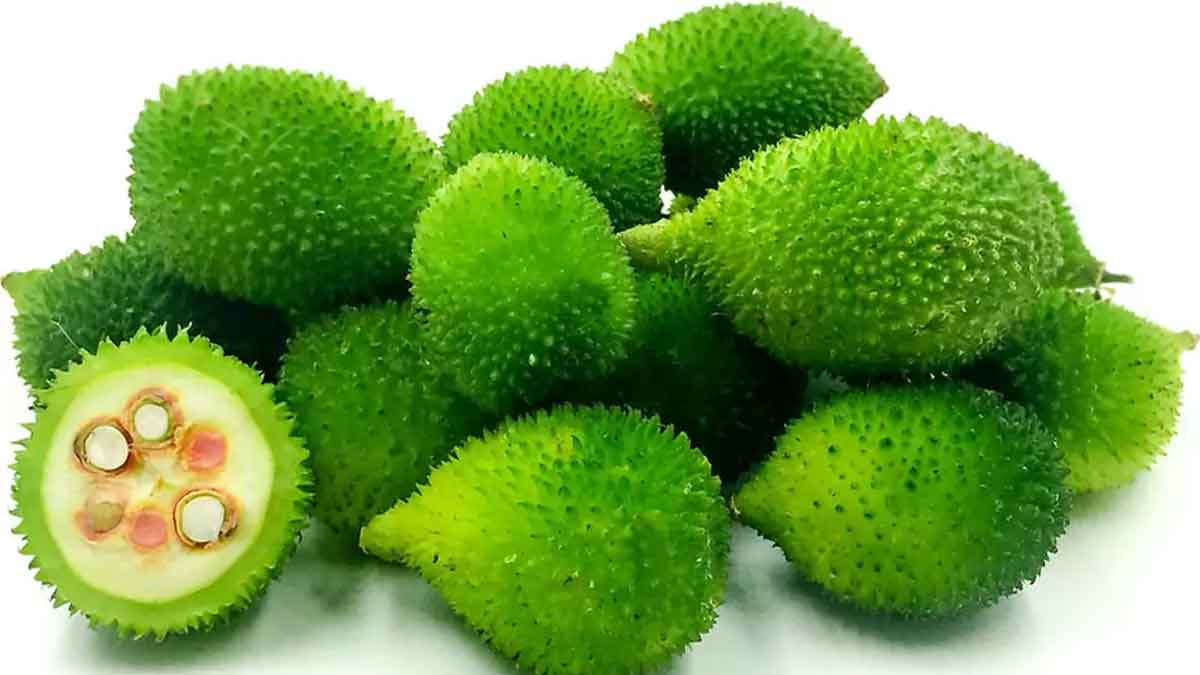 amazing health benefits of taking spiny gourd 