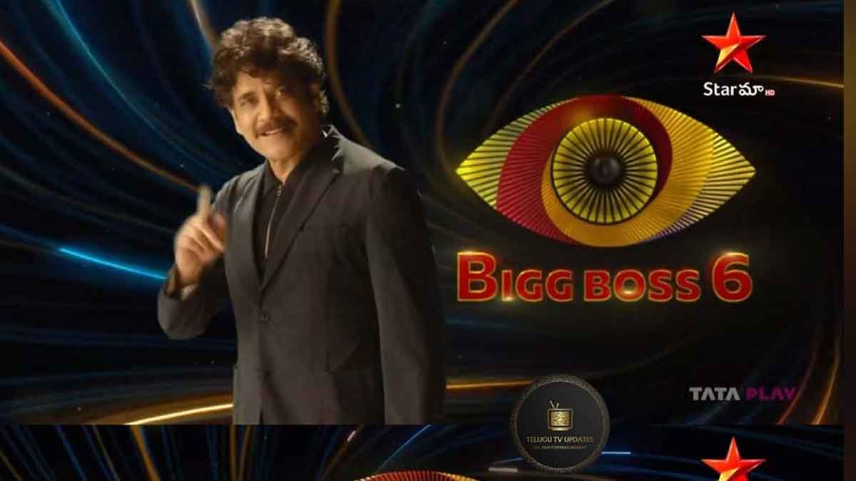 Bigg Boss 6 Telugu : బిగ్ బాస్ సీజన్ 6 కంటెస్టెంట్స్ లిస్ట్ ఇదే.. ఎవరెవరు సందడి చేయబోతున్నారు..? Bigg Boss 6 Telugu these are the contestants