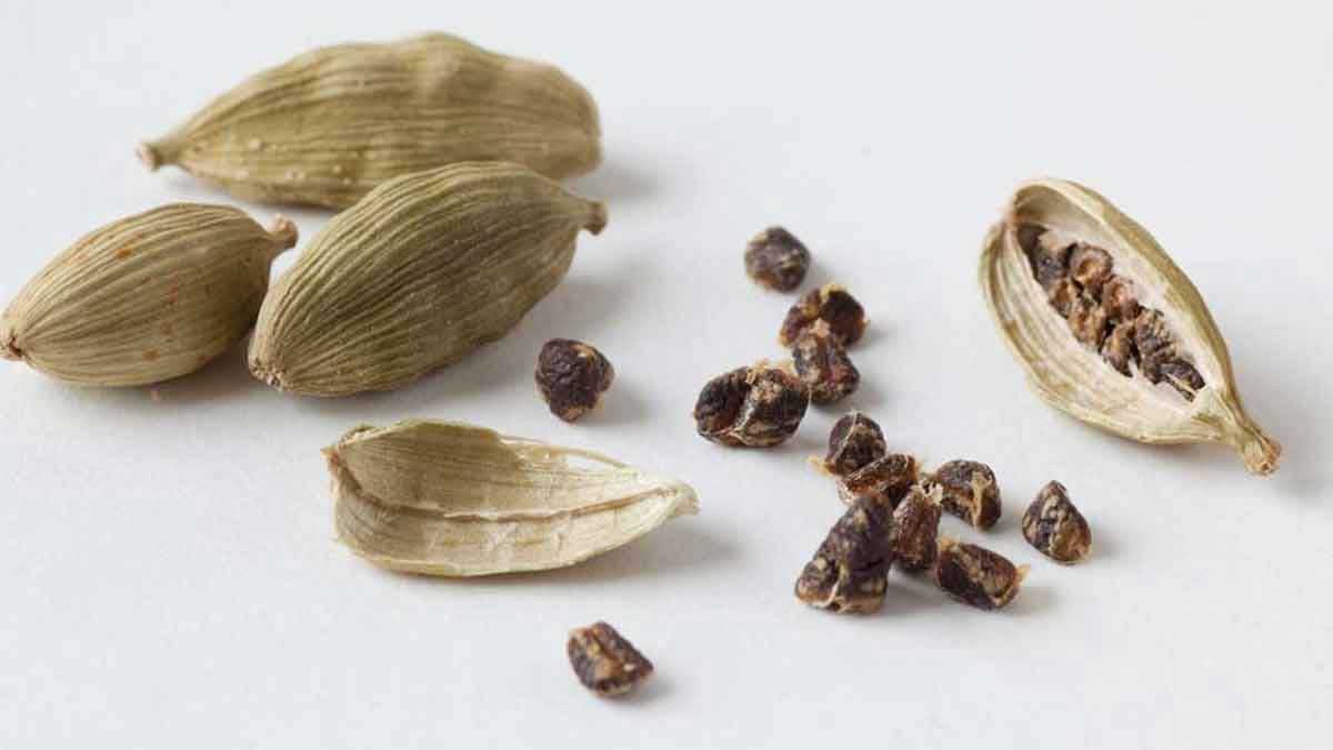 Cardamom : పురుషులు యాలకులను తీసుకోవడం మరిచిపోవద్దు.. రోజూ ఈ సమయంలో తినాలి..! take Cardamom daily for these amazing benefits