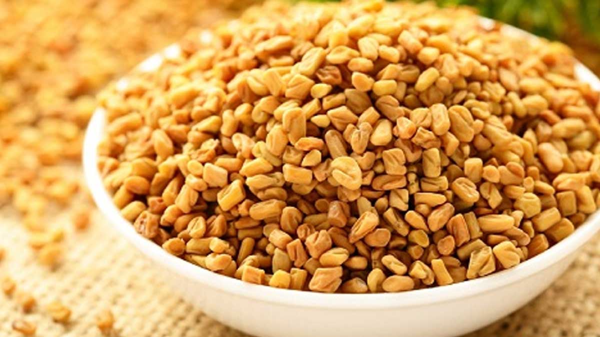 Fenugreek Seeds : మెంతులను దీనితో కలిపి తినండి.. డయాబెటిస్ పోతుంది.. take Fenugreek Seeds with these ones to control blood sugar levels