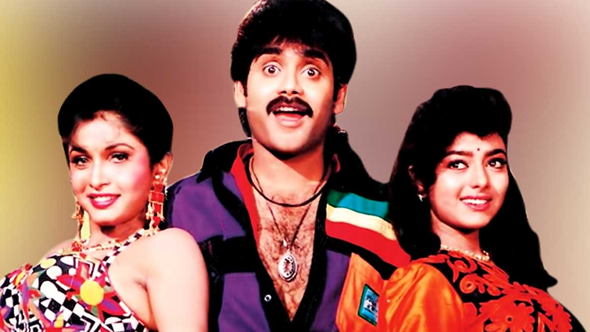 Hello Brother Movie : హలో బ్రదర్ మూవీలో నాగార్జునకు డూప్గా చేసింది ఎవరో తెలుసా..? Hello Brother Movie do you know who is dupe for Nagarjuna