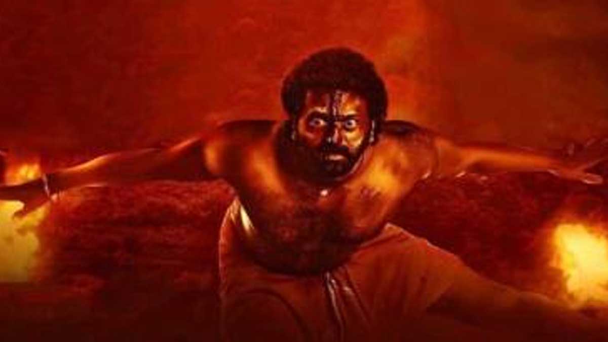 kantara movie made with rs 16 crores know much it collected till now 