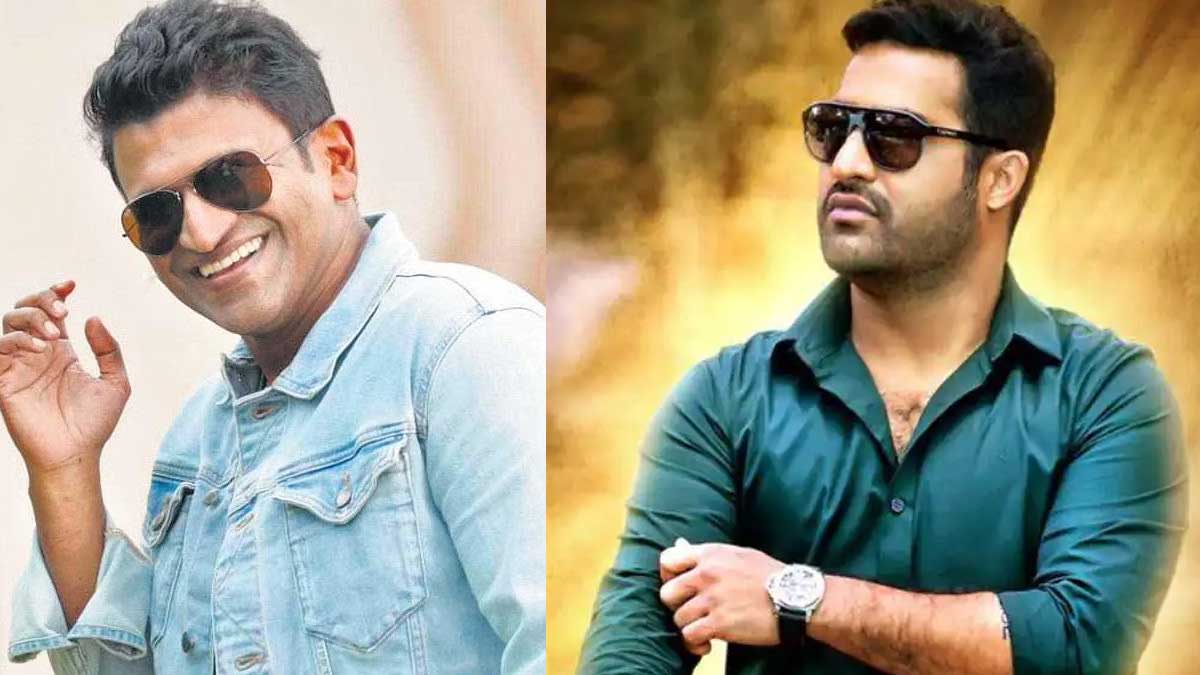 Puneeth Rajkumar : ఎన్టీఆర్ ఫ్లాప్ సినిమాతో హిట్ అందుకున్న పునీత్.. అదేంటో తెలుసా..? Puneeth Rajkumar got blockbuster hit movie with NTR flop one