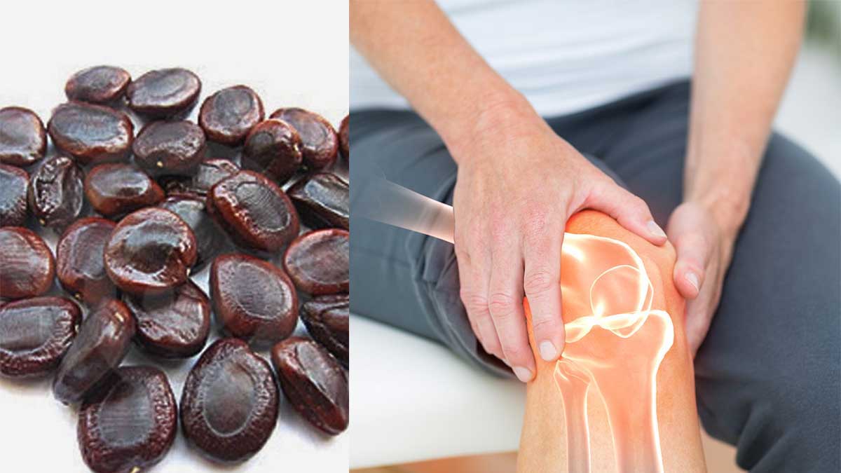 Tamarind Seeds : అరిగిపోయిన కీళ్లను సైతం పనిచేయించే చింత గింజలు.. నరాల బలహీనతకు ఉత్తమమైన ఔషధం.. amazing health benefits of Tamarind Seeds