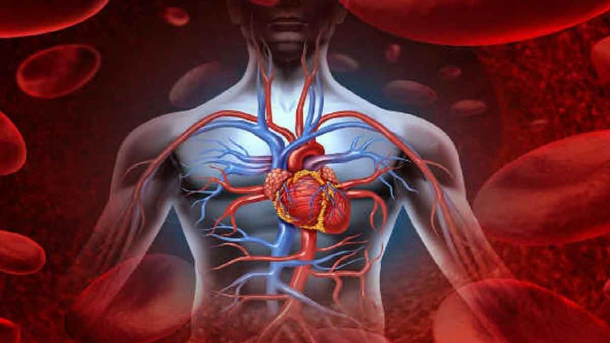 Blood Circulation : వీటిని తింటే రక్తం పెరగడమే కాదు.. రక్త సరఫరా కూడా మెరుగు పడుతుంది.. take these foods to increase Blood Circulation