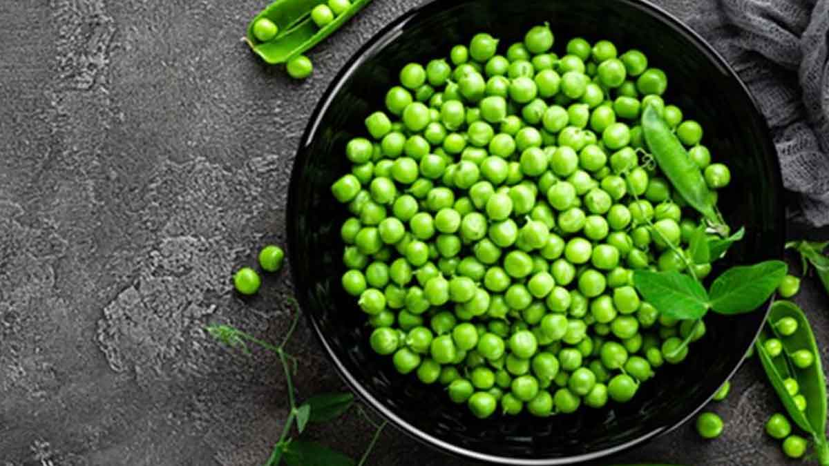 Green Peas : పచ్చి బఠానీలను ఆహారంలో చేర్చుకుంటే ఇన్ని లాభాలా.. తప్పక తీసుకోవాల్సిందే..! amazing health benefits of green peas