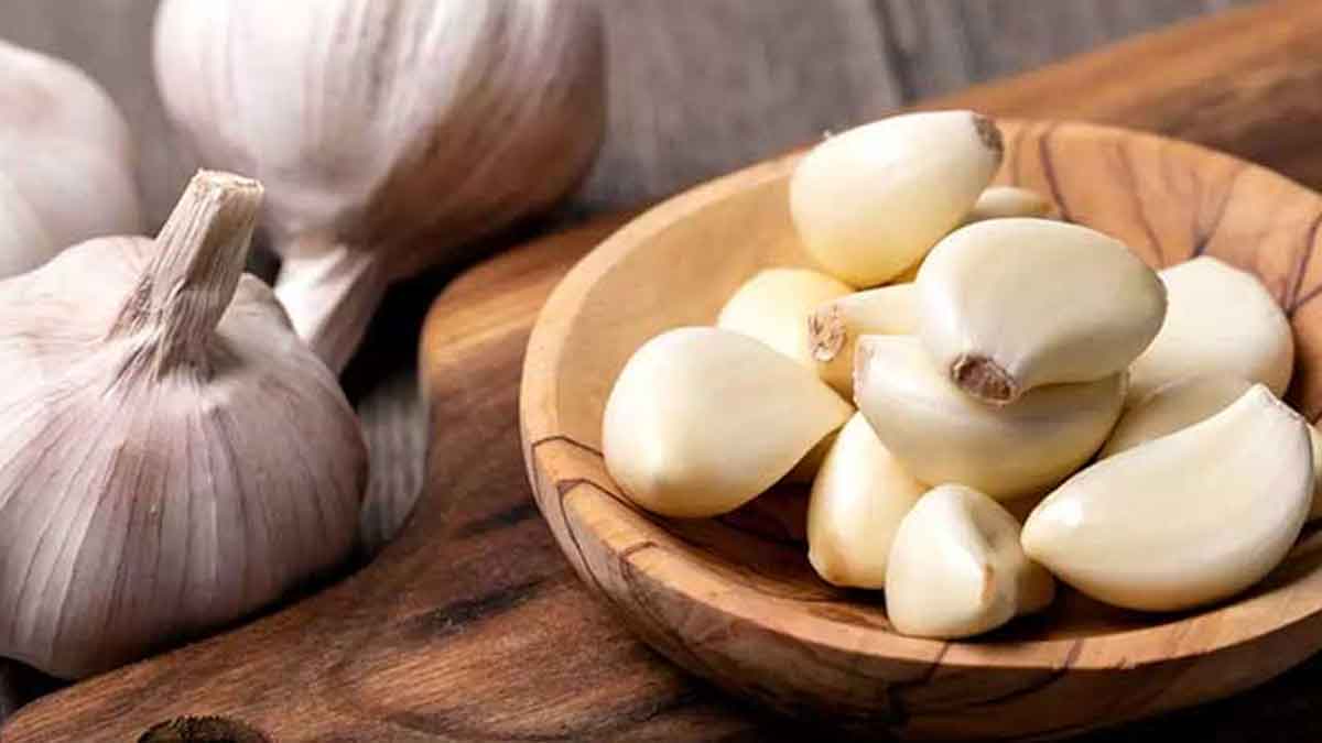 Garlic : రోజూ పరగడుపునే రెండు వెల్లుల్లి రెబ్బలను తింటే.. ఇన్ని ప్రయోజనాలా..? take two garlic cloves on empty stomach for these benefits