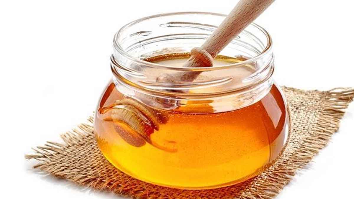 Honey : రోజూ రాత్రి నిద్రకు ముందు తేనెను ఇలా తీసుకోండి.. ఊహించని ప్రయోజనాలు కలుగుతాయి.. take honey with warm water daily at night see what happens
