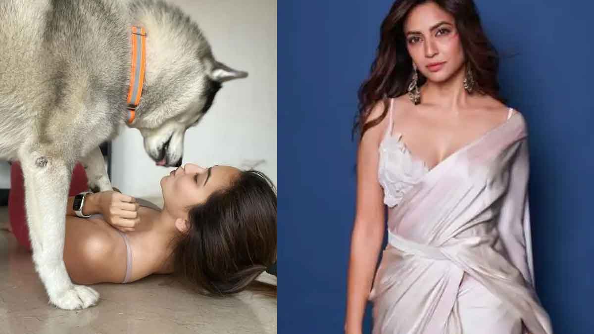 Kriti Karbanda : ఛీ.. ఛీ.. పెంపుడు కుక్కతో ఇలాంటి చెత్త పని ఏంటి అంటూ హీరోయిన్పై ట్రోల్స్.. Kriti Karbanda being trolled by netizen for her latest photo