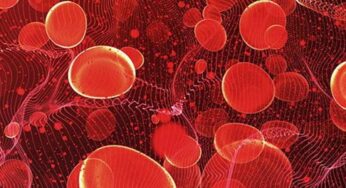 Anemia : ఈ ల‌క్ష‌ణాలు క‌నిపిస్తున్నాయా.. అయితే మీ శ‌రీరంలో ర‌క్తం లేన‌ట్లే..!