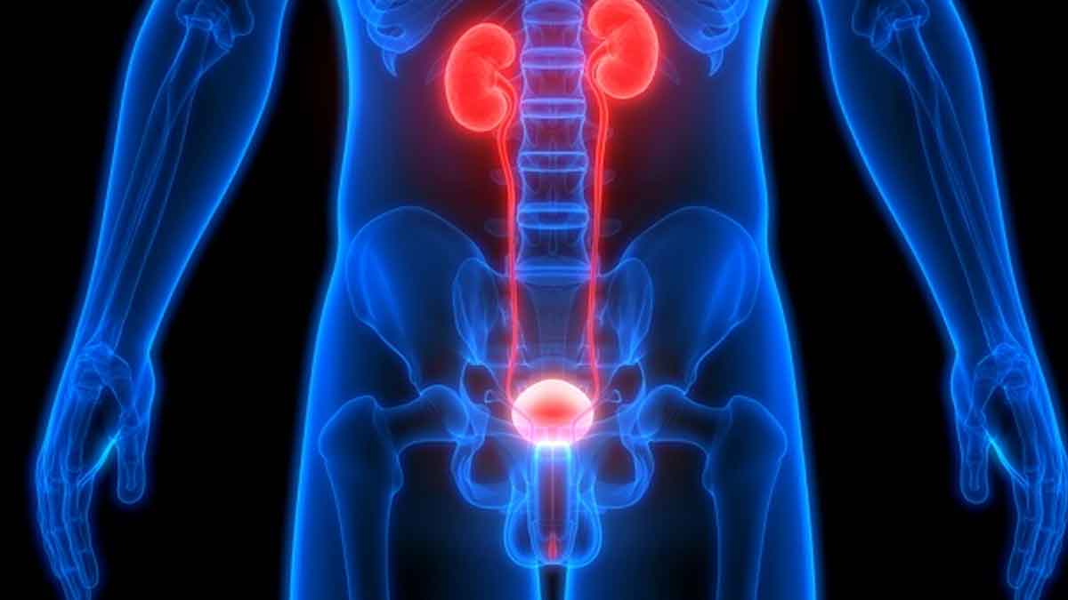 Body Detox : మీ శరీరాన్ని ఇలా క్లీన్ చేసుకోండి.. 80కి పైగా రోగాలను రాకుండా చూసుకోండి.. Body Detox clean like this for perfect health