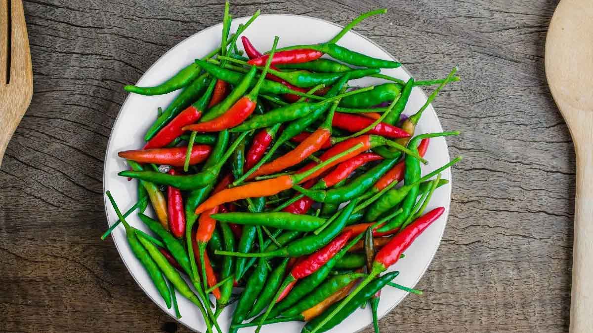 Chilli : మిరపకాయలను తింటే ఎన్ని లాభాలు కలుగుతాయో తెలిస్తే.. కారం ఉన్నా లాగించేస్తారు..! Chilli benefits must take daily to be diseases free