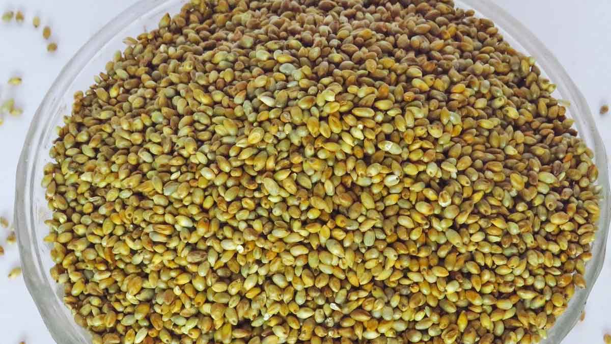Pearl Millets : రోజూ రాత్రి అన్నంకు బదులుగా వీటిని తినండి.. ఎన్నో లాభాలను పొందవచ్చు..! Pearl Millets benefits take daily