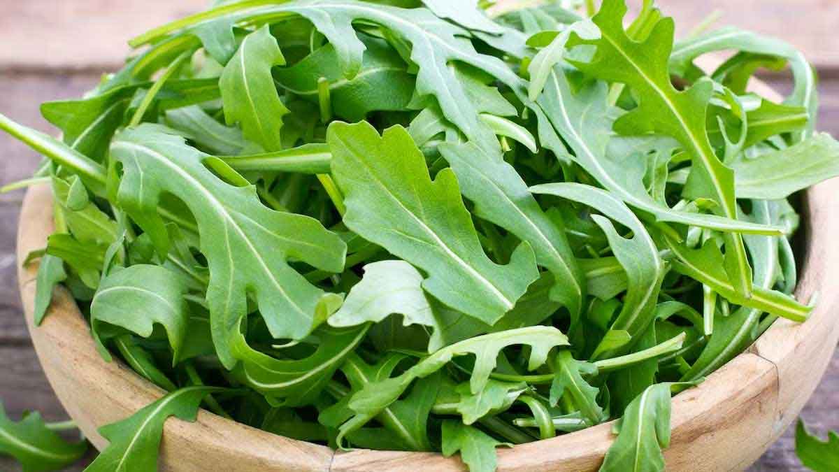 Rocket Leaf : ఈ ఒక్క ఆకును వాడితే చాలు.. షుగర్ మాయం.. హార్ట్ ఎటాక్ లు రావు.. Rocket Leaf amazing benefits must take
