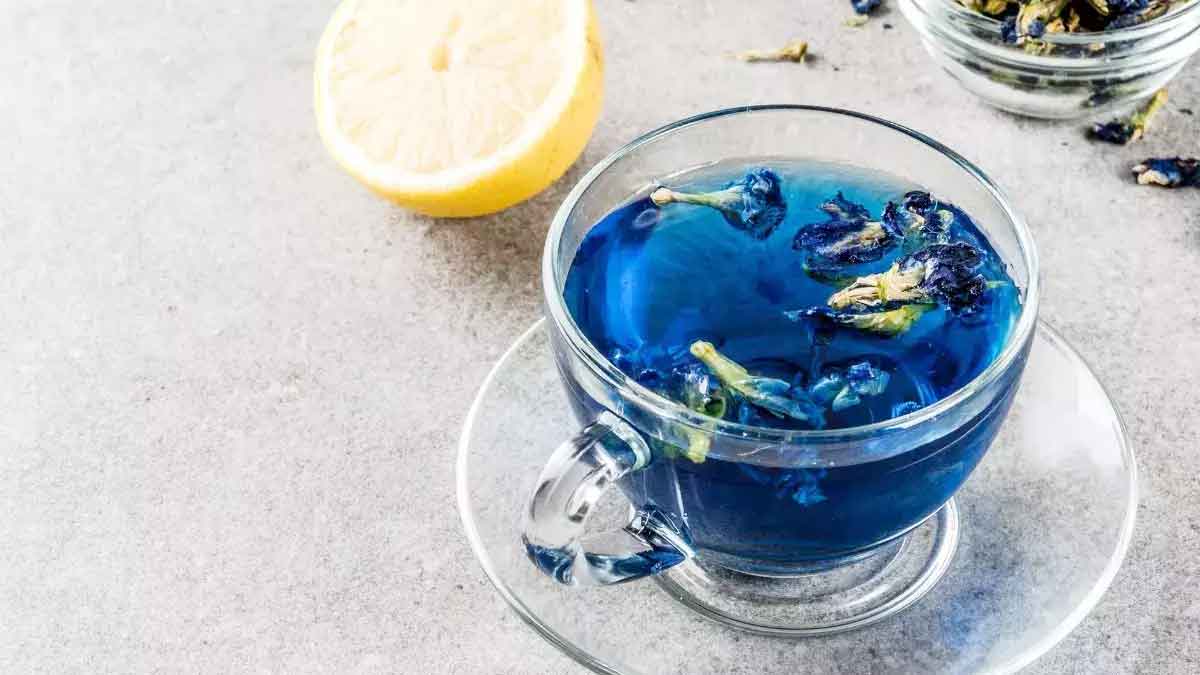 Shankhpushpi Tea : రోజూ ఒక కప్పు చాలు.. బీపీ, షుగర్ తగ్గుతాయి.. కొలెస్ట్రాల్ కరిగిపోతుంది..! Shankhpushpi Tea amazing benefits drink daily