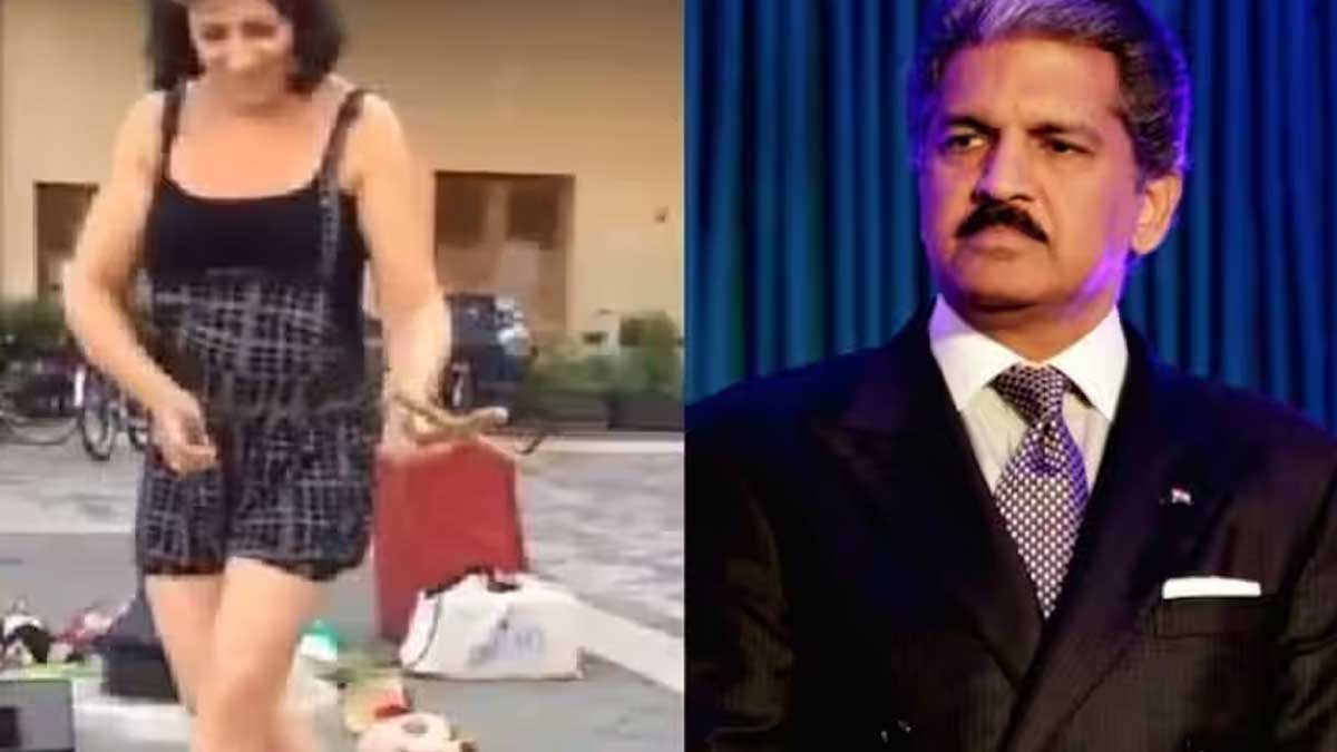 Natu Natu Puppet Show : నాటు నాటు పాటకి తోలు బొమ్మలు అదిరిపోయే స్టెప్పులు.. వీడియో వైరల్.. Natu Natu Puppet Show anand mahindra shared video viral