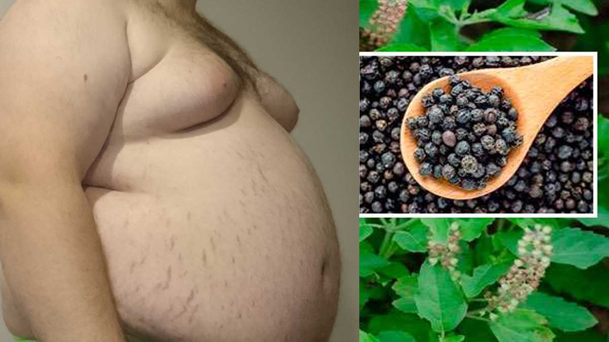 Remedy For Fat : రోజూ ఉదయం దీన్ని తాగండి.. శరీరంలో కొవ్వు అన్నదే ఉండదు..! Remedy For Fat follow this one for impressive results