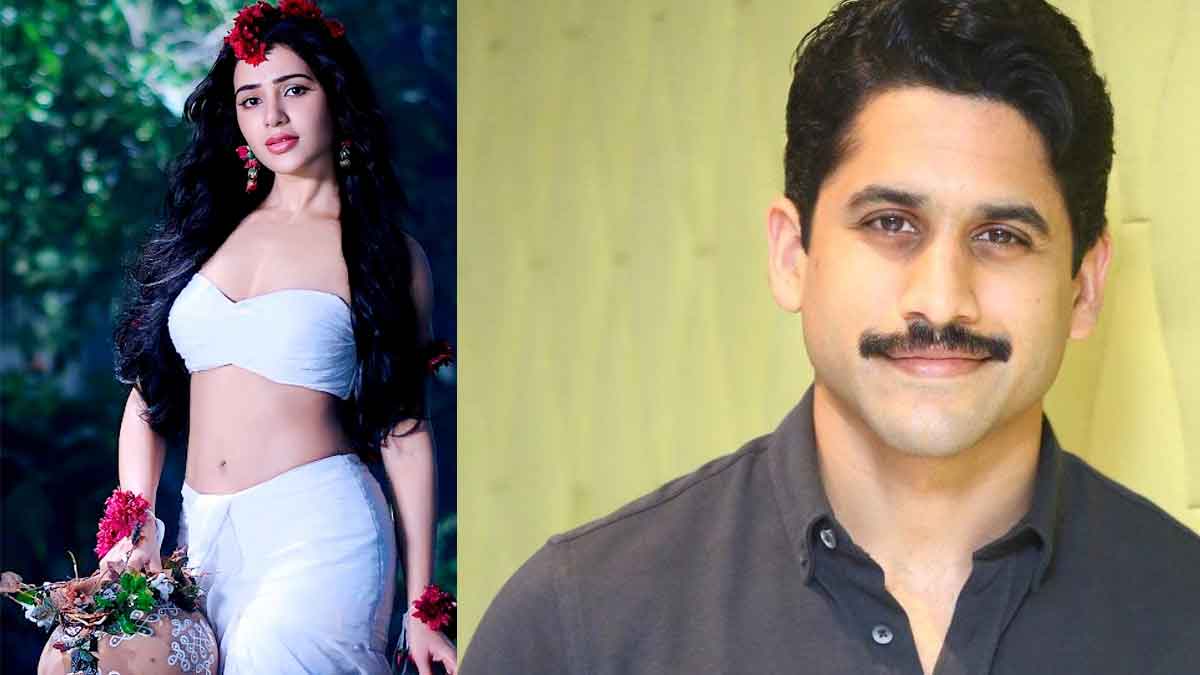 Naga Chaitanya fans troll samantha for her shaakuntalam flop 
