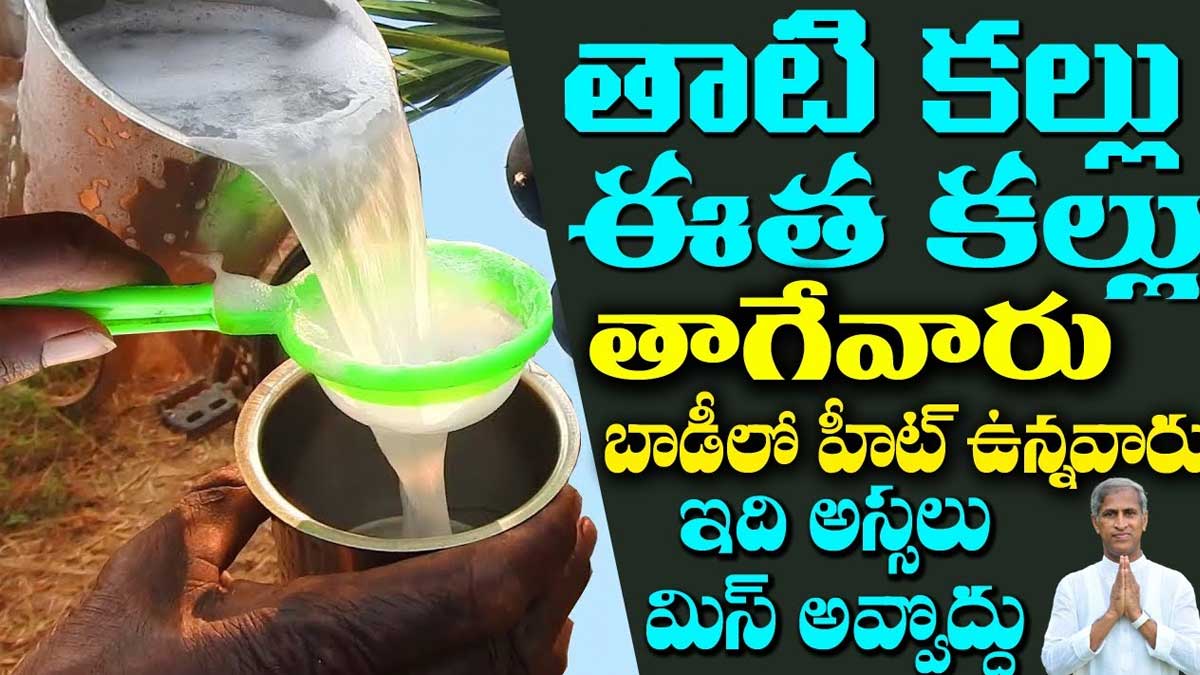 Kallu : తాటి కల్లు, ఈత కల్లు తాగేవారు.. బాడీలో హీట్ ఉన్నవారు ఇది అస్సలు మిస్ అవ్వొద్దు..! drinking Kallu in summer must know these