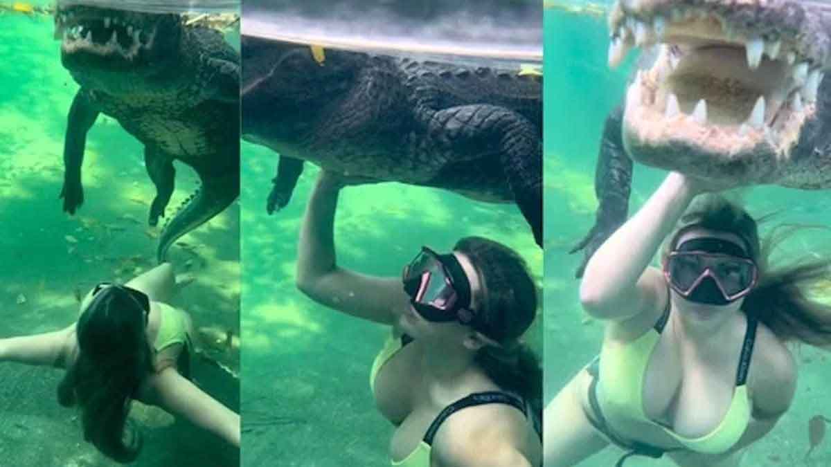 Viral Video : వామ్మో.. ఏకంగా మొసలితో కలిసి ఈత కొట్టిందిగా.. వైరల్ అవుతున్న వీడియో..! woman swims with alligator Viral Video