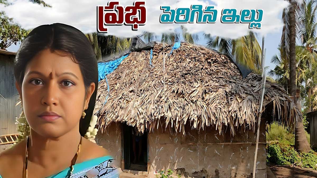 Actress Prabha : సీనియర్ నటి ప్రభ ఊరు ఏది.. ఆమె పెరిగిన ప్రాంతాలు ఎప్పుడైనా చూశారా..! Actress Prabha home town interesting facts