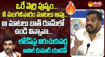 Anil Kumar Yadav : పులికేసి పాద‌యాత్ర అంటూ.. నారా లోకేష్‌పై అనిల్ కుమార్ ఘాటు వ్యాఖ్య‌లు..