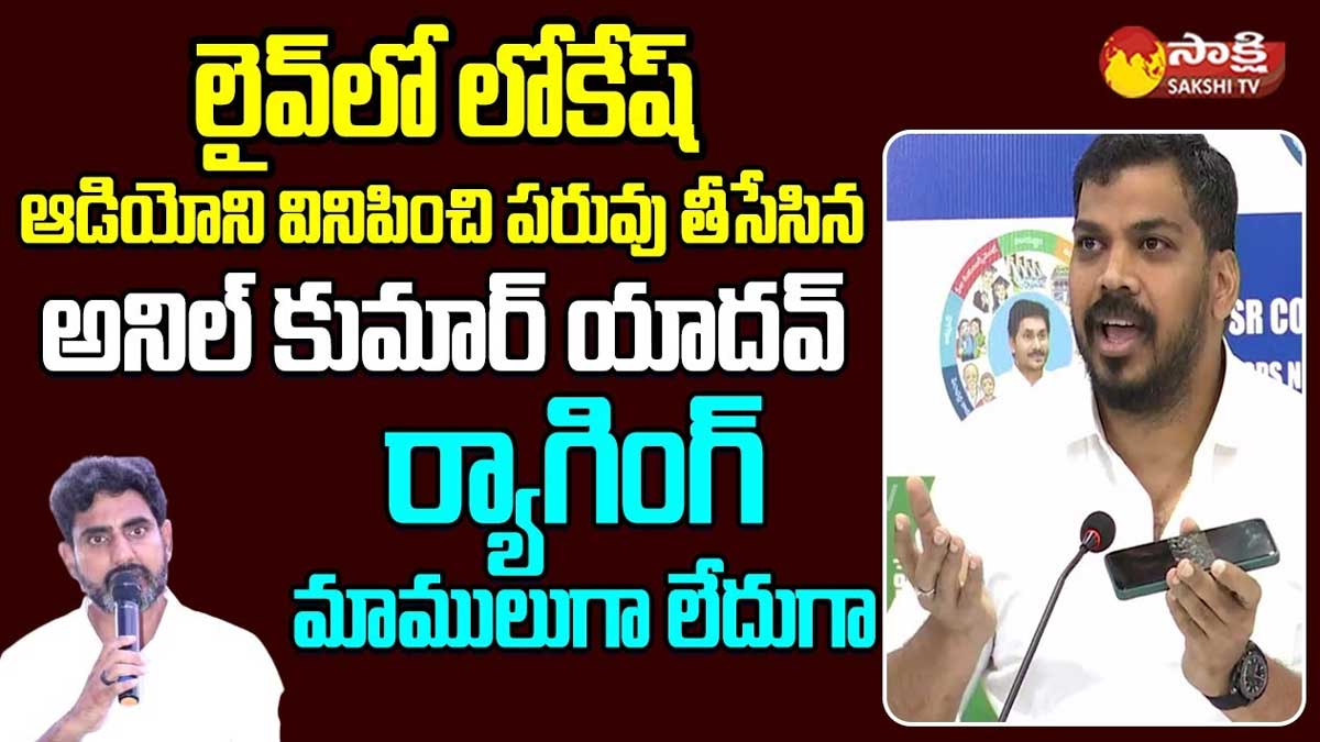 Anil Kumar Yadav comments on nara lokesh telugu 
