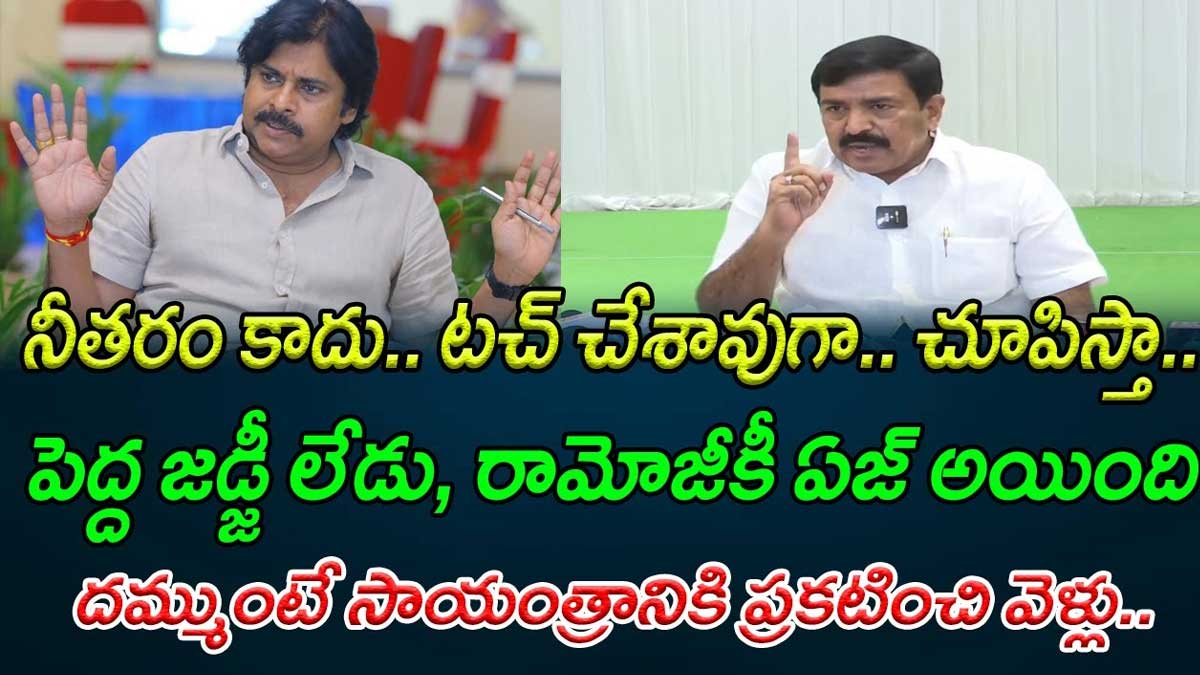 Dwarampudi Chandrasekhar : పవన్ కళ్యాణ్కి దిమ్మతిరిగే పంచ్ ఇచ్చిన ద్వారంపూడి.. తేల్చుకుందాం రా అంటూ సవాల్.. Dwarampudi Chandrasekhar counters pawan kalyan