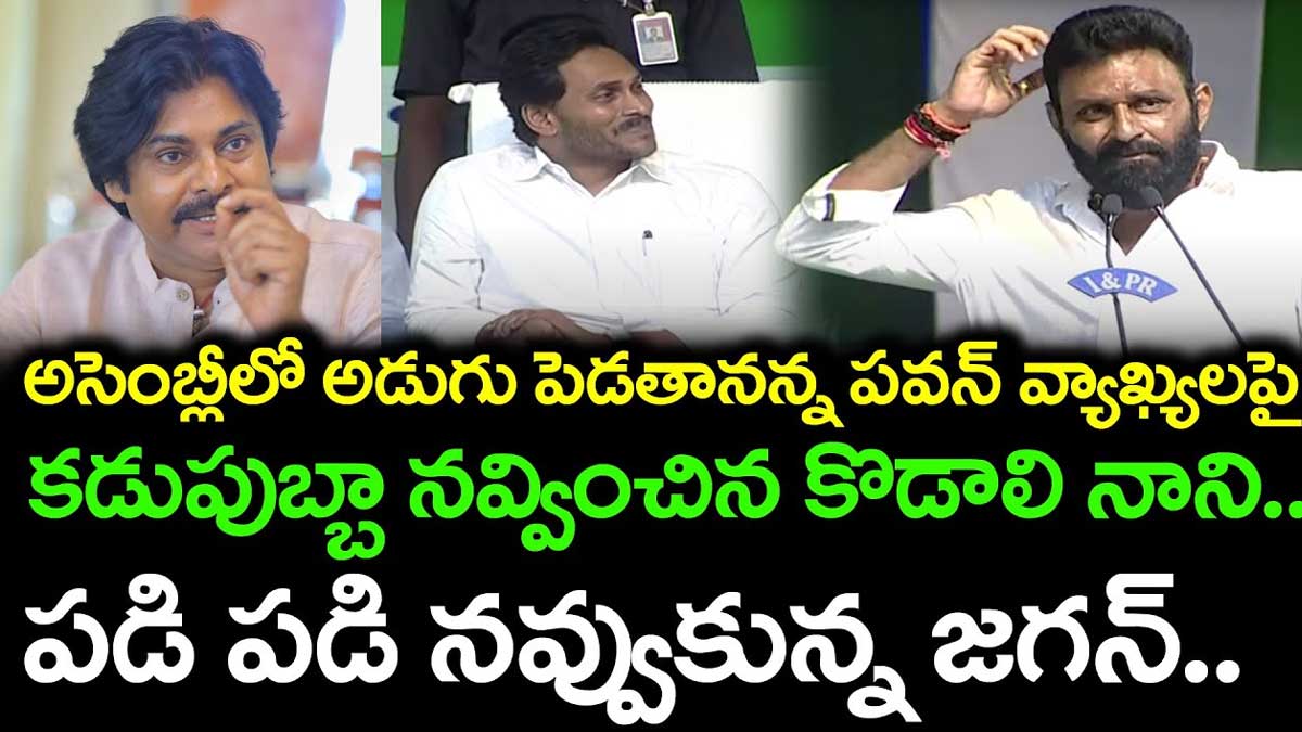 Kodali Nani : ఆ ఇద్దరు హీరోయిన్స్ కన్నా కూడా పవన్ అద్వాన్నం అంటూ కొడాలి నాని కౌంటర్ Kodali Nani counter to pawan kalyan
