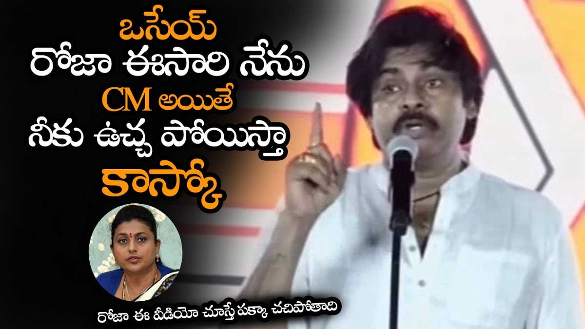 Pawan Kalyan sensational comments on roja 