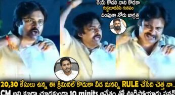 Pawan Kalyan : మొద‌టిసారి జ‌గ‌న్‌పై ఊగిపోయిన ప‌వ‌న్‌.. ఏమ‌న్నారంటే..?