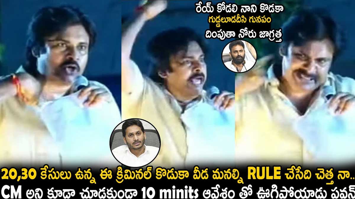 Pawan Kalyan : మొదటిసారి జగన్పై ఊగిపోయిన పవన్.. ఏమన్నారంటే..? Pawan Kalyan first time angry comments on jagan
