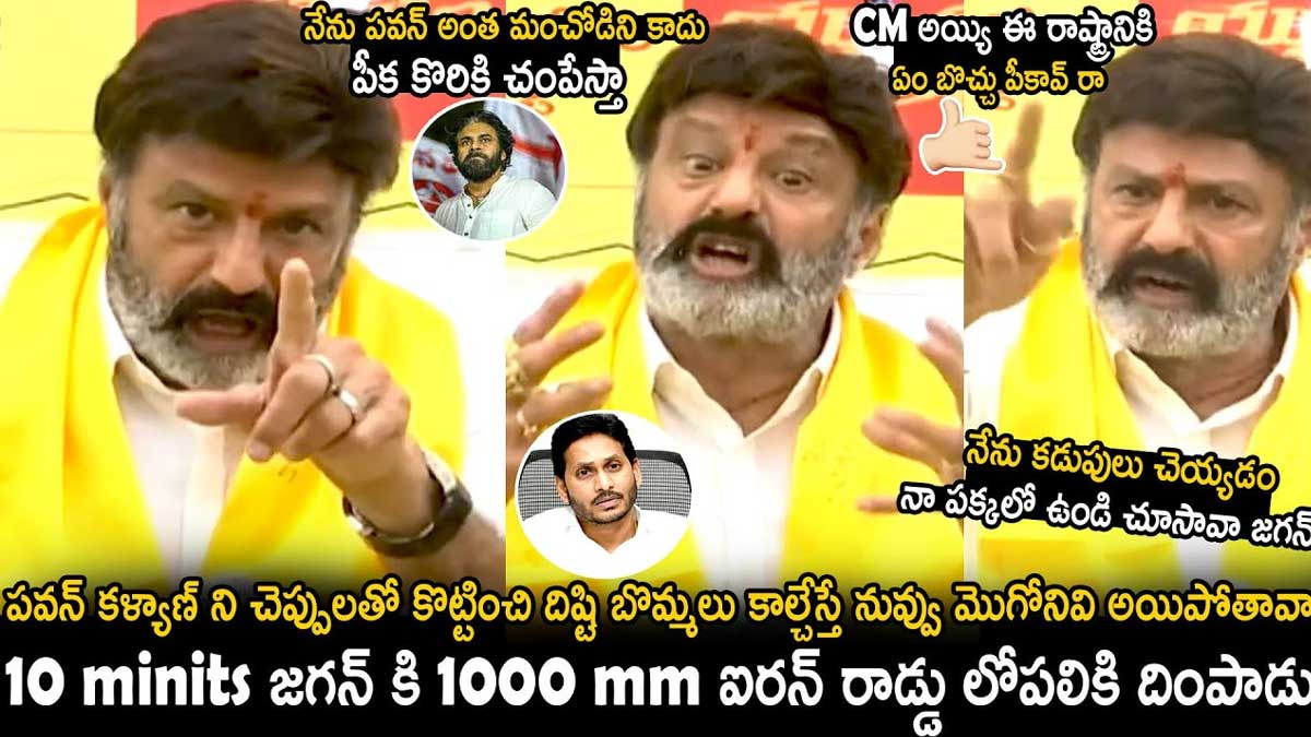 Balakrishna : నేను పవన్ అంత మంచోడిని కాదు.. బాలయ్య ఫైర్.. Balakrishna angry comments on cm ys jagan