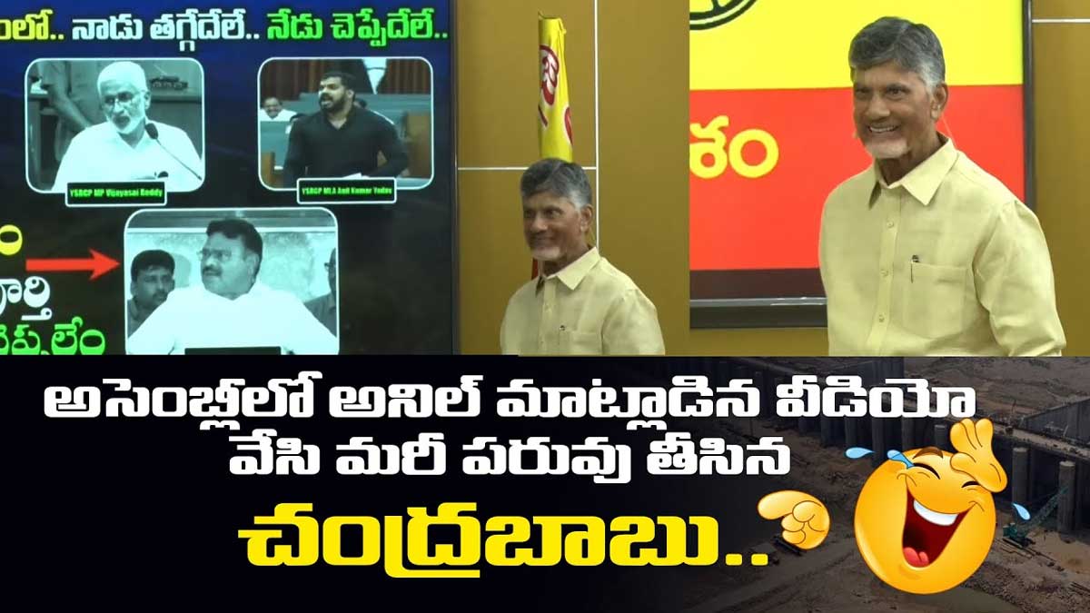 Chandra Babu : వీడియో చూపించి మరీ అనీల్ కుమార్ యాదవ్కి గట్టిగా ఇచ్చి పడేసిన చంద్రబాబు Chandra Babu played anil kumar yadav video