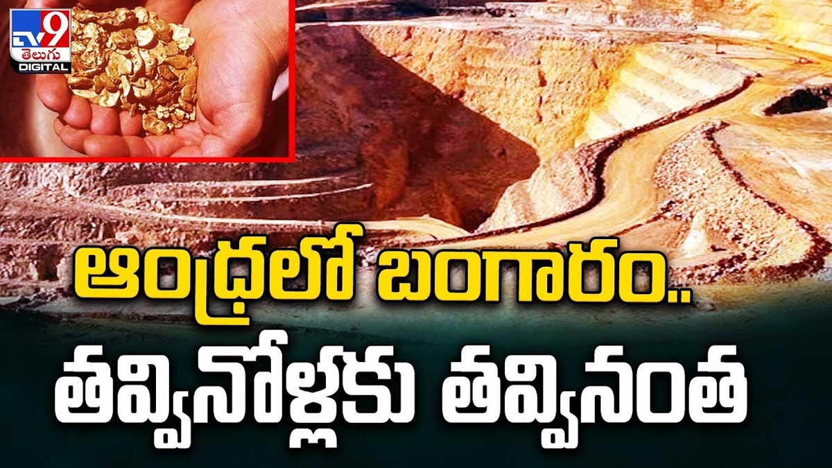 Gold : ఆంధ్రాలో లక్షల టన్నులలో బంగారు ఖనిజం.. తవ్వుకున్నోళ్లకు తవ్వుకున్నంత..! Gold mine in andhra pradesh where