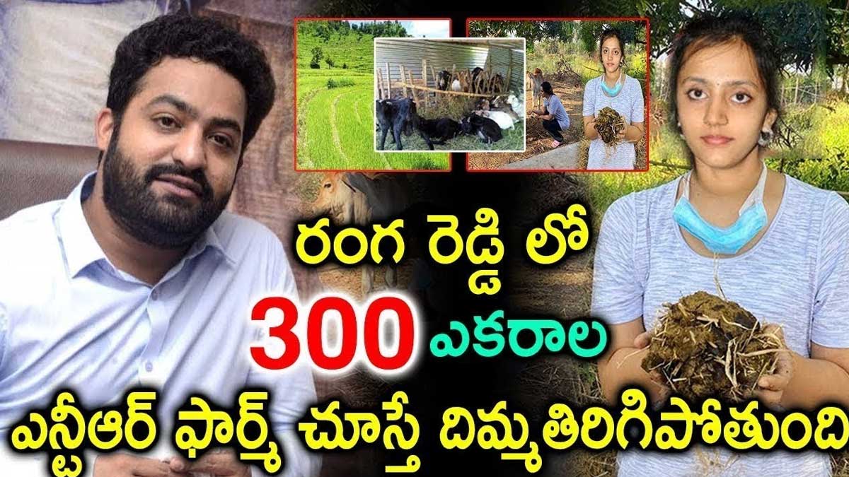 Jr NTR Farm House : 300 ఎకరాలలో ఎన్టీఆర్ ఫామ్ హౌజ్.. చూస్తే దిమ్మ తిరిగి మైండ్ బ్లాక్ కావల్సిందే..! Jr NTR Farm House have you seen it