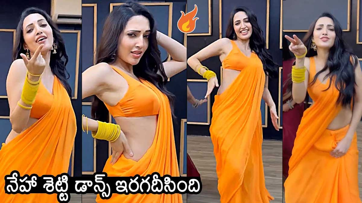 Neha Shetty : క్యూట్ డ్యాన్స్తో రెచ్చిపోయిన డీజే టిల్లు భామ.. డ్యాన్స్కి అంతా ఫిదా.. Neha Shetty latest dance video viral