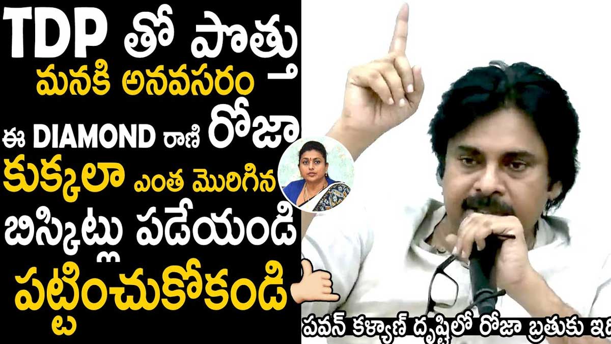 Pawan Kalyan : రోజాపై పవర్ఫుల్ ఎటాక్.. పొత్తులపై పవన్ కీలక వ్యాఖ్యలు.. Pawan Kalyan talked about roja and alliance with tdp