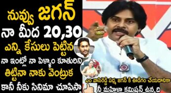 Pawan Kalyan : మీరు ఎన్ని తిట్టిన‌, ఏం చేసిన నా వెంట్రుక కూడా పీక‌లేరు అంటూ ప‌వన్ ఫైర్
