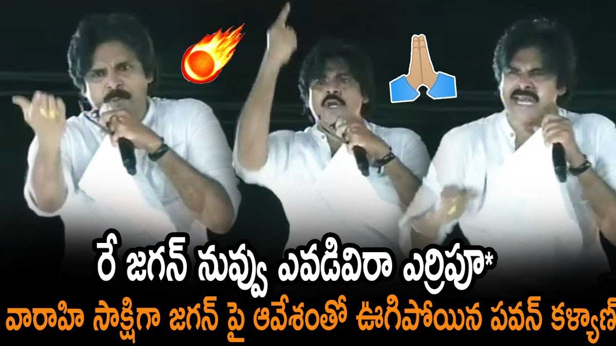 Pawan Kalyan very angrily criticized cm ys jagan 