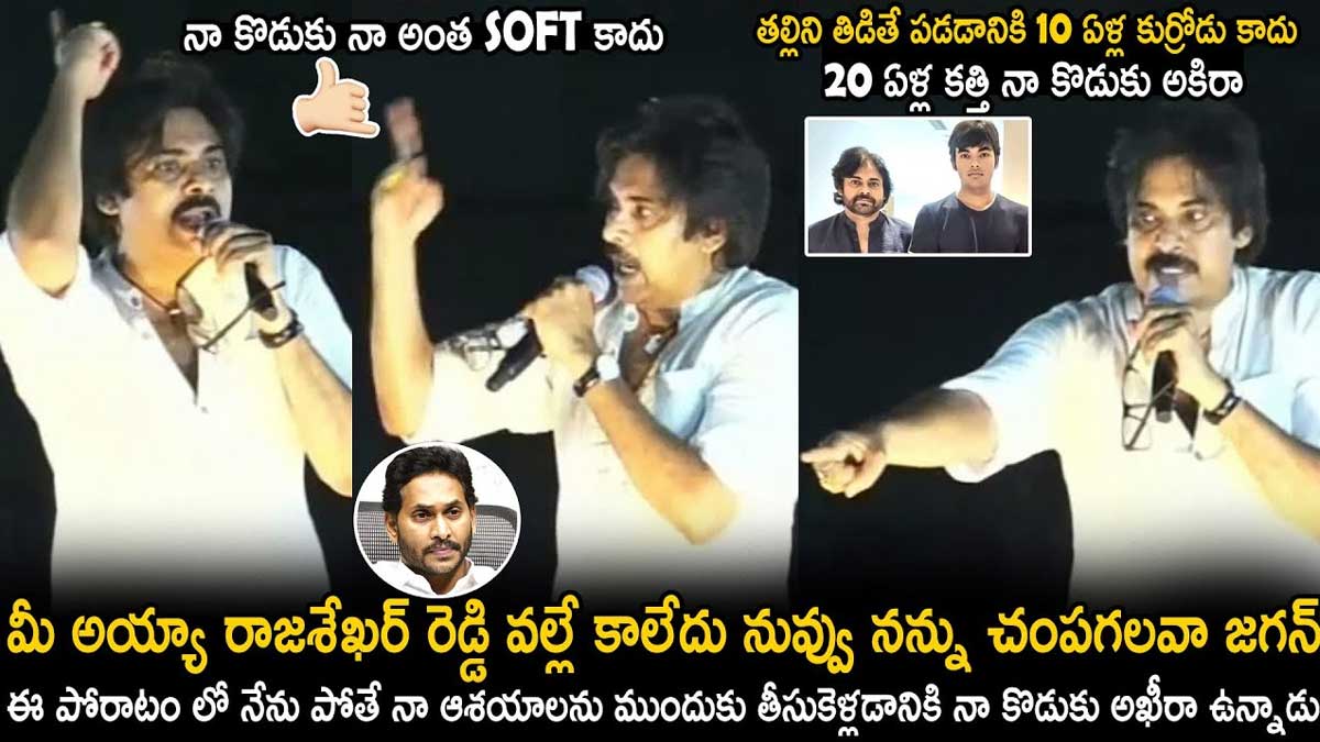 Pawan Kalyan : ఈ పోరాటంలో నేను చనిపోయినా నా ఆశయాన్ని కాపాడడానికి నా కొడుకు ఉన్నాడు.. పవన్.. Pawan Kalyan comments on his son akira nandan