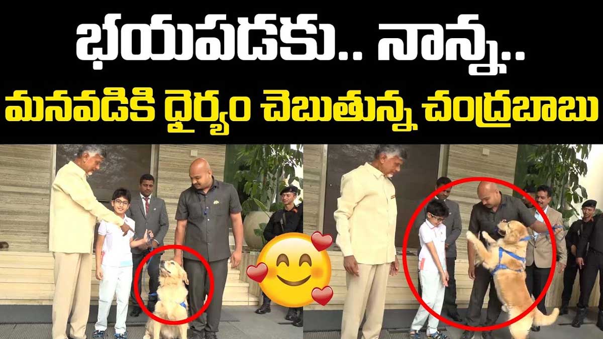 Chandra Babu : కుక్కని చూసి భయపడ్డ లోకేష్ తనయుడు.. మనవడికి ధైర్యం చెప్పిన చంద్రబాబు.. Chandra Babu with his grand son devansh