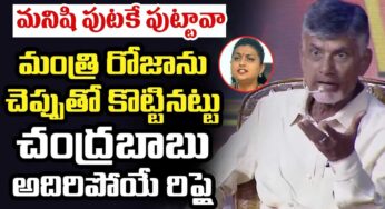 Chandra Babu : మంత్రి రోజాకి దిమ్మ‌తిరిగిపోయే రిప్లై ఇచ్చిన చంద్ర‌బాబు
