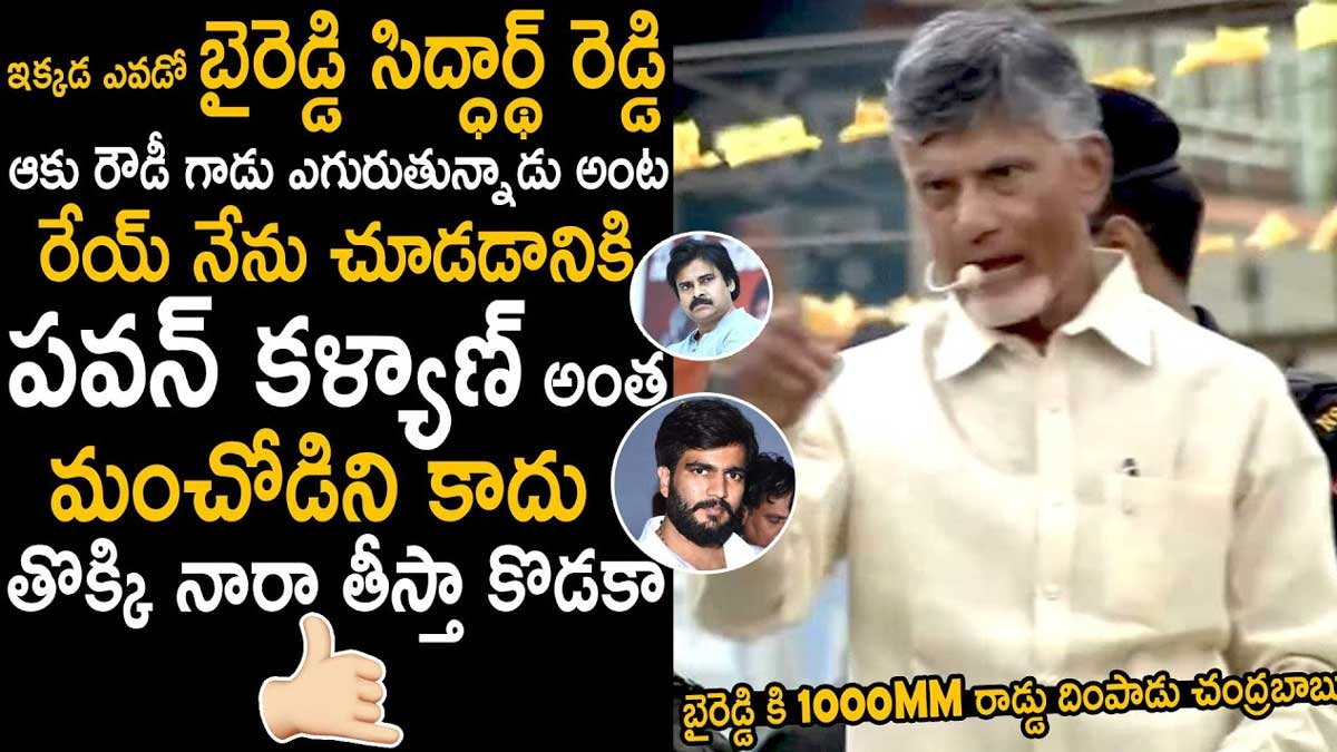 Chandra Babu : పవన్ కళ్యాణ్ అంత మంచి వాడిని కాదు.. తొక్కి నార తీస్తానంటూ, బైరెడ్డికి చంద్రబాబు వార్నింగ్.. Chandra Babu reply to bireddy sidhartha reddy