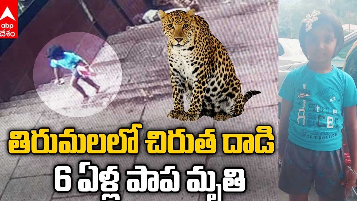 girl died in cheetah attack at tirumala 