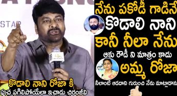 Chiranjeevi : ప‌కోడి గాళ్లు అంటూ మాట్లాడిన నానికి దిమ్మ‌తిరిగే షాక్ ఇచ్చిన చిరంజీవి..!