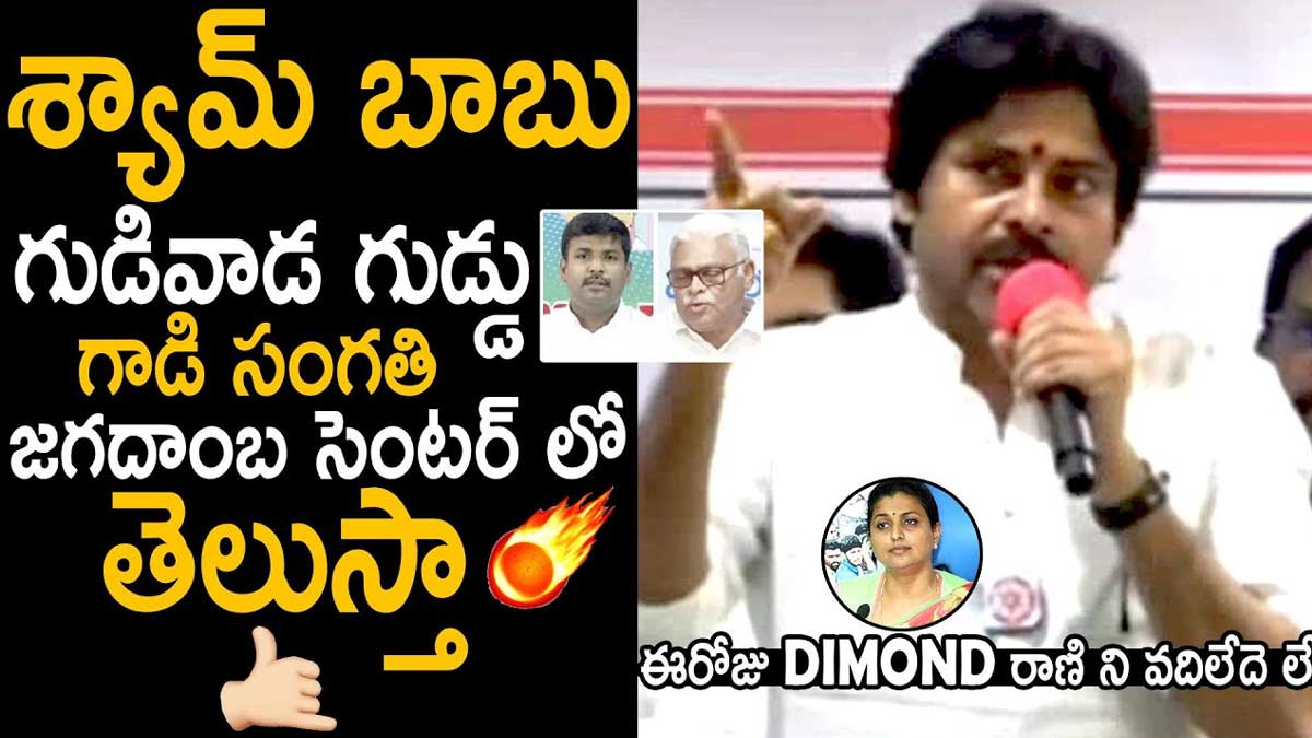 Pawan Kalyan : వైసీపీ గూండాలకి పాఠాలు చెబుతానంటూ పవన్ కళ్యాణ్ సంచలన కామెంట్స్ Pawan Kalyan comments on ysrcp leaders
